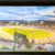 Western Springs Speedway Panoramic 1